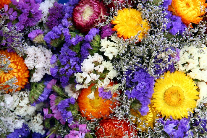 Dried flowers bouquet with asters and bells