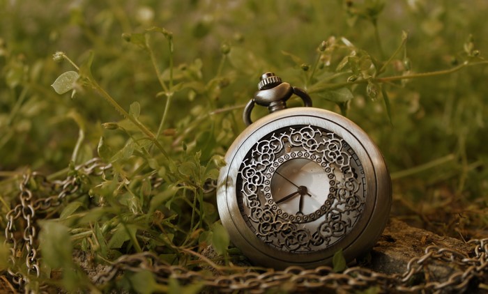 Pocket watch on grass