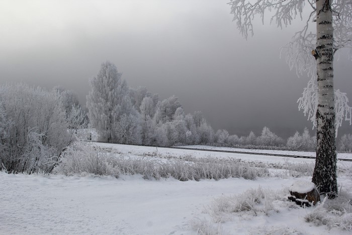 Winter scene with frosted trees and a railway track