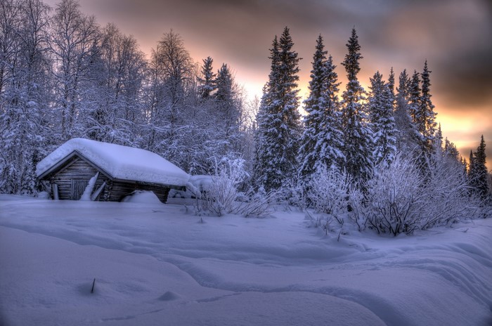 Wooden cabin in a snowy forest at sunset
