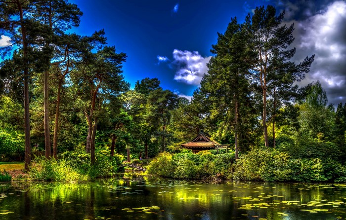 Tatton Hall Park pond with trees and a Japanese-style building