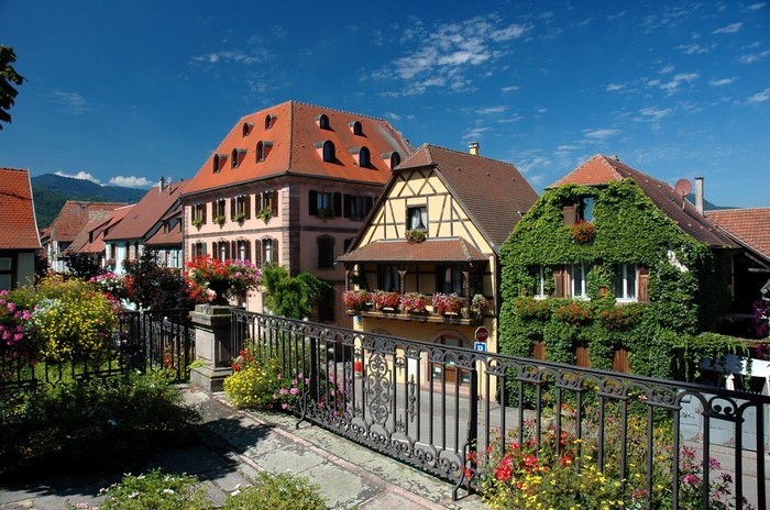 Alsace Bergheim France Houses with Fence and Flowers
