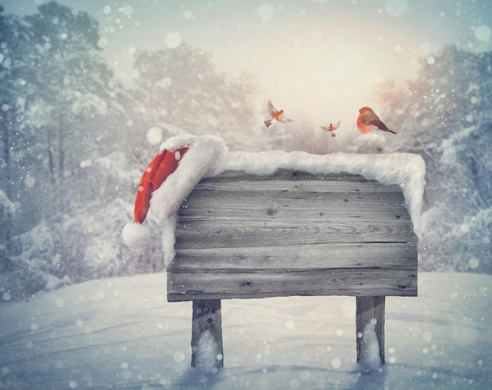 Christmas wooden sign with Santa hat and bullfinches in snow