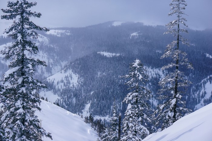 Snowy mountains and forests in Khabarovsk Krai, Russia