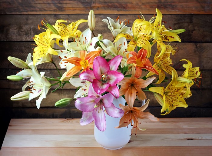 Bouquet of colorful lilies in a white vase
