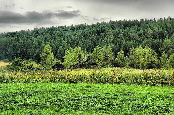 Green fields and forest with ruined structure