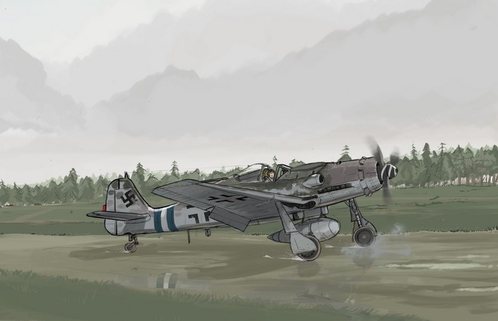 Focke-Wulf Fw 190 fighter airplane on a grassy field
