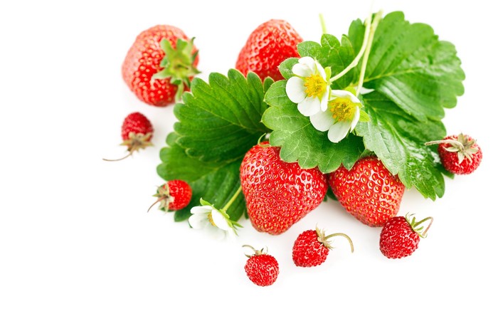 Strawberries with leaves and flowers