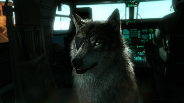 D-Dog from Metal Gear with Eye Patch