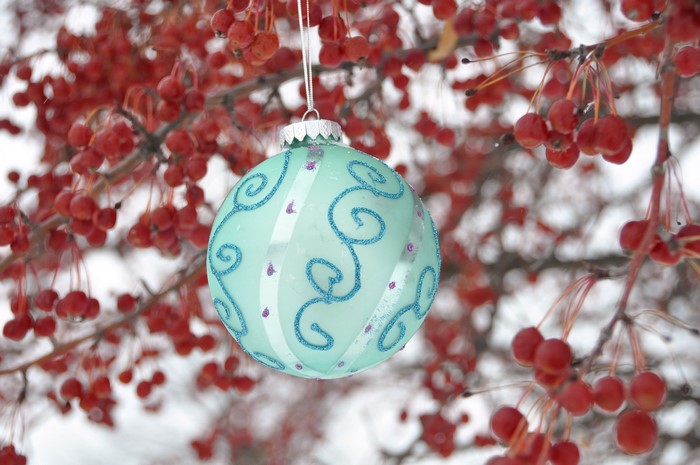 Christmas ornament hanging on a branch with red berries