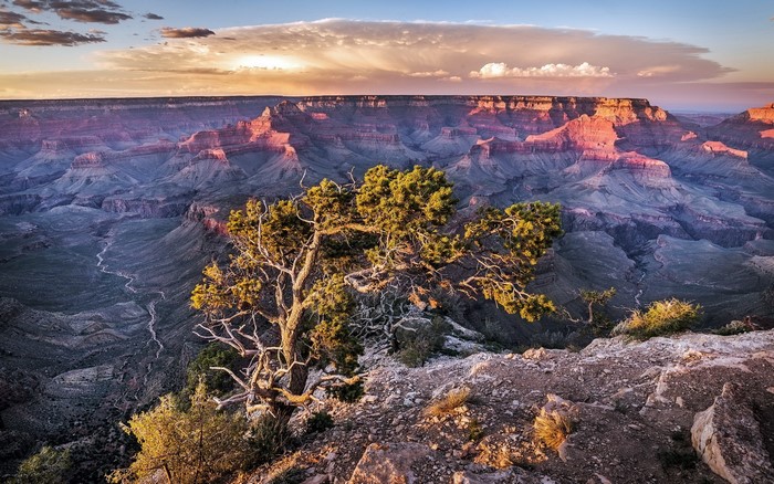 Grand Canyon National Park Landscape at Sunset