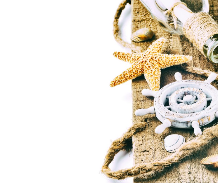 Starfish and seashells on driftwood with rope
