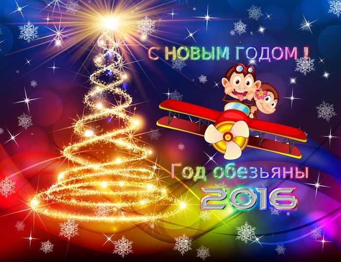 Monkeys on a plane with Christmas tree and 2016