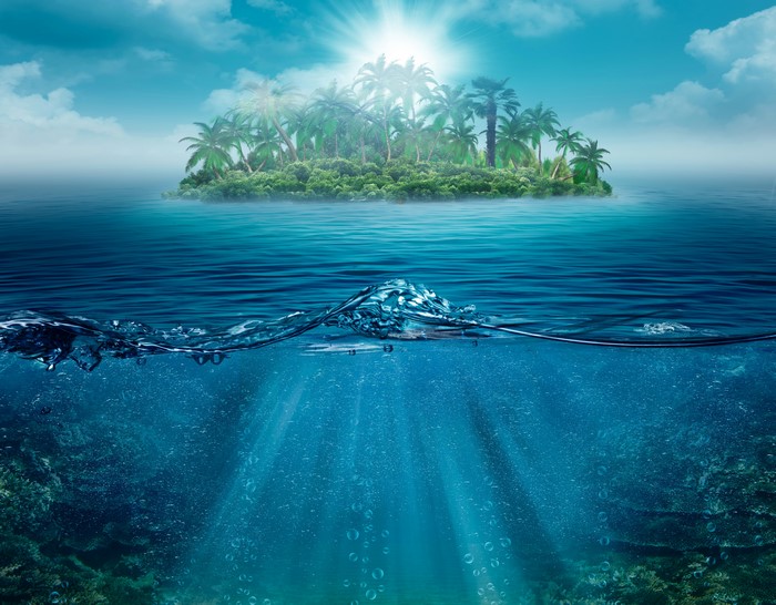 Tropical island with palm trees above and underwater view