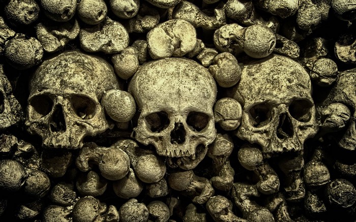 Three skulls and bones wall