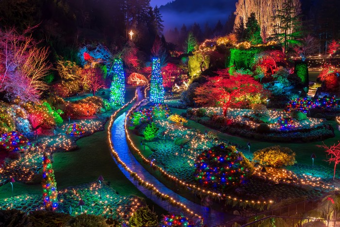 Butchart Gardens Christmas Lights at Night