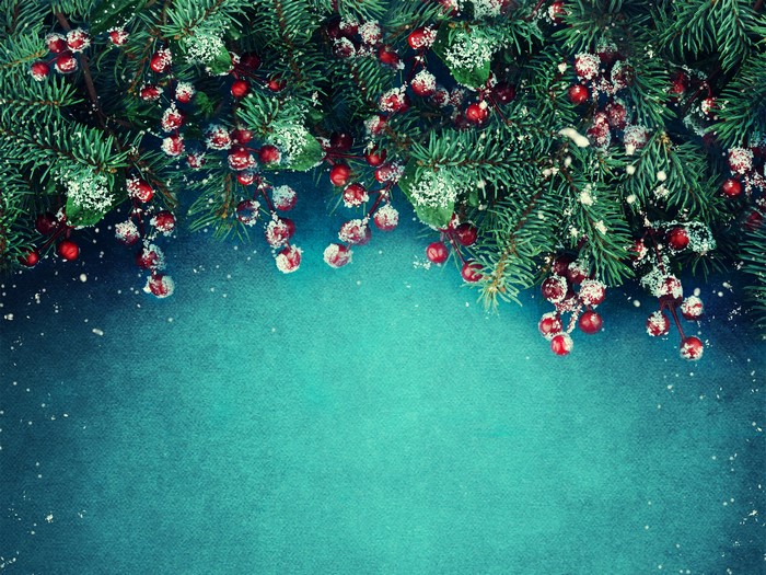 Christmas branches with red berries and snow