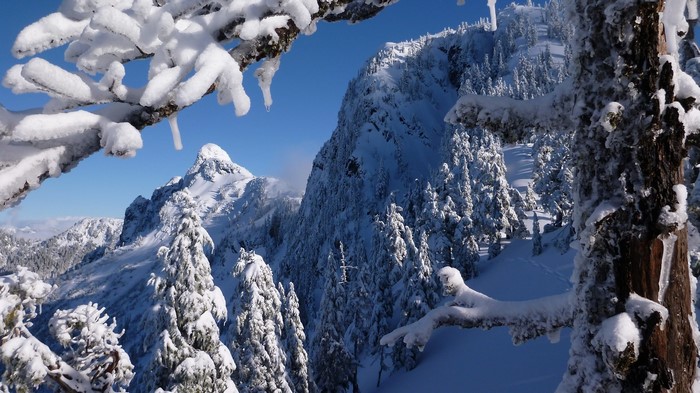 Snow-covered trees and mountains in British Columbia