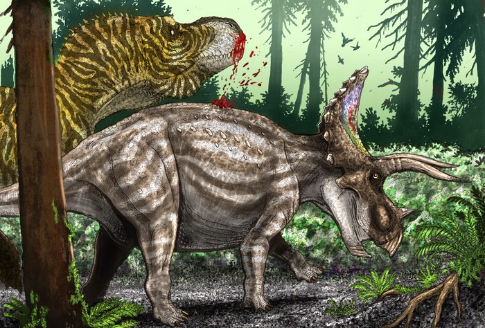 Tyrannosaurus Rex attacking Triceratops in forest