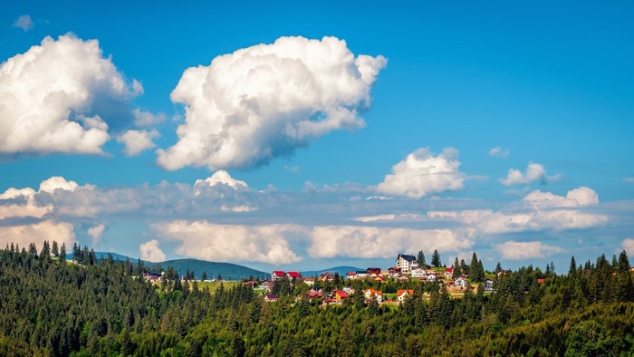 Paltinis Transylvania Romania village on forested hill