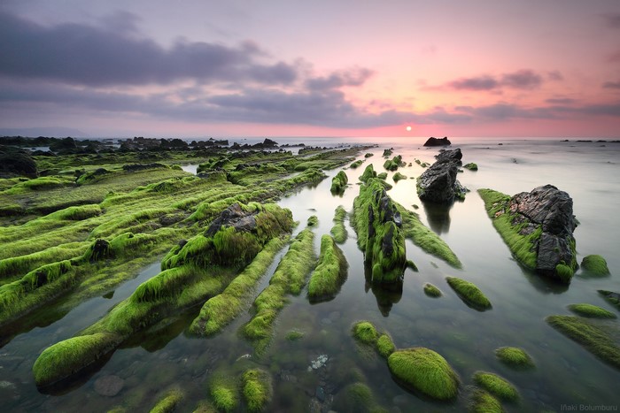 Mossy rocks on the coast of Barrika, Spain at sunset