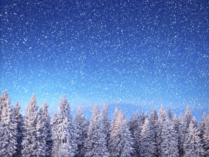 Winter forest with falling snow and blue sky