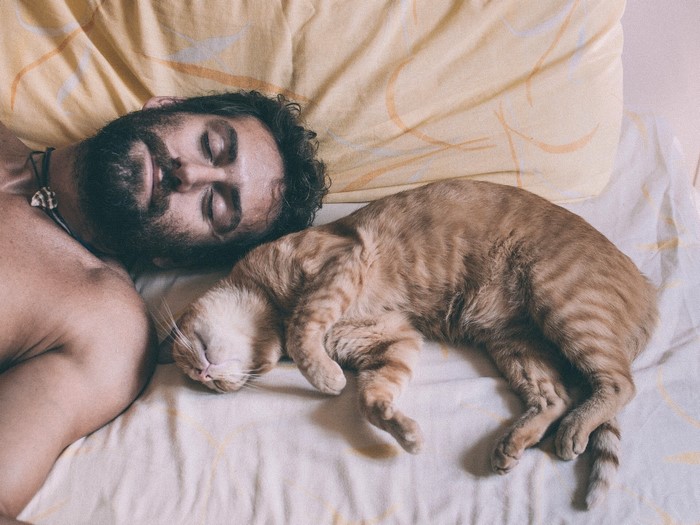 Man and cat sleeping on a bed