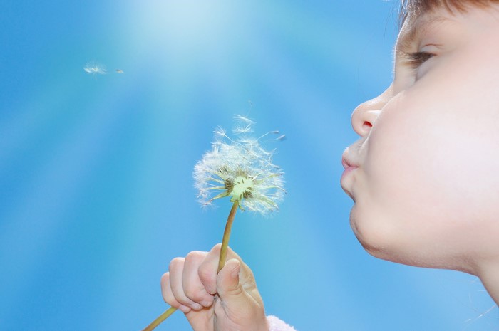 Little girl blowing dandelion seeds in the sky