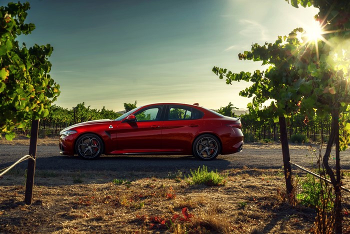 Red Alfa Romeo Giulia Quadrifoglio in Vineyard