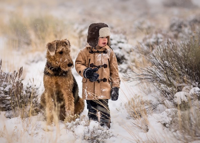 Boy and Airedale Terrier in the Snow