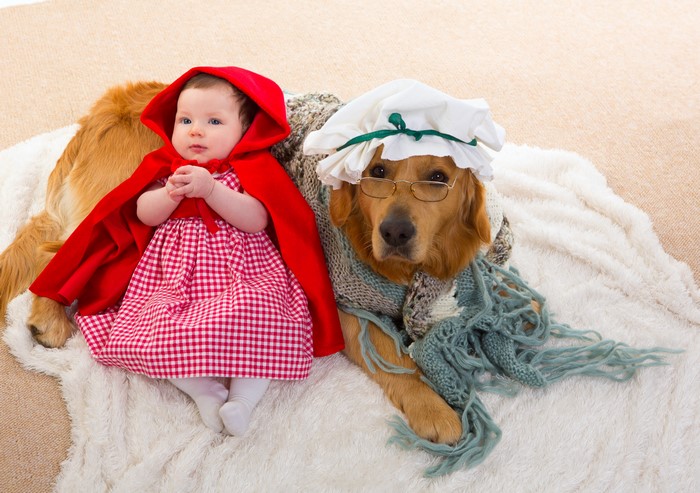 Baby in Little Red Riding Hood costume with Golden Retriever dog