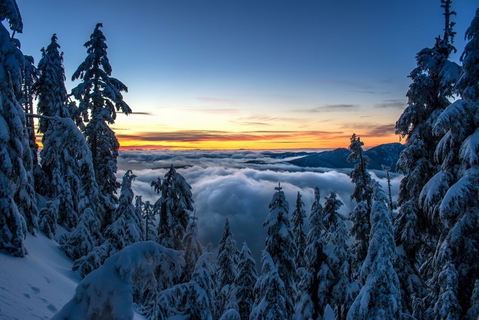 Snow-covered trees above clouds at sunset in Vancouver