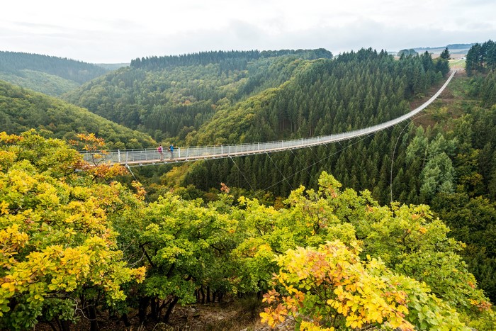 Geierlay Suspension Bridge in Autumn Forest, Germany