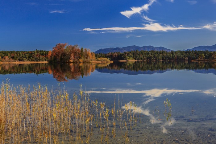 Lake with autumn trees and mountains in Bavaria