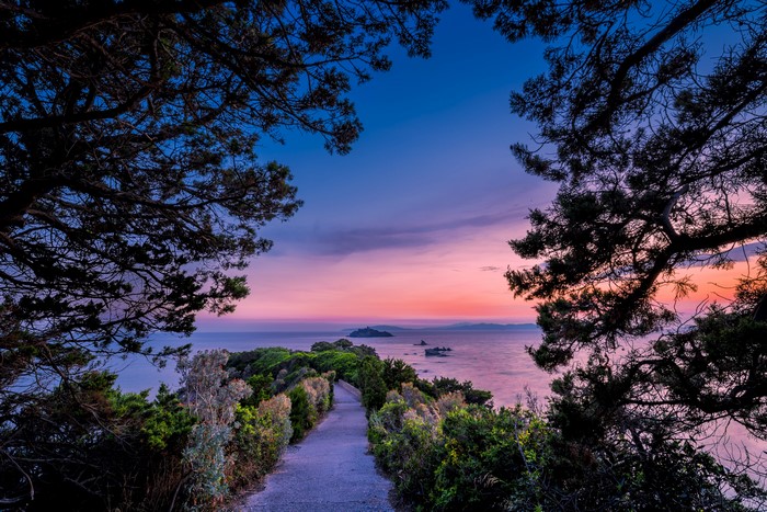 Tuscany Coast at Sunset with Island View