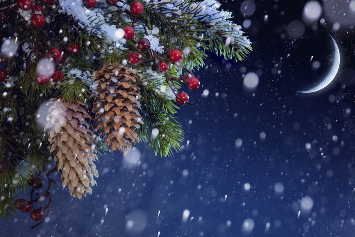 Christmas pine cones and berries with snow and crescent moon