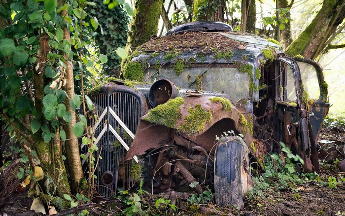 Abandoned Citroën car overgrown with moss in a forest