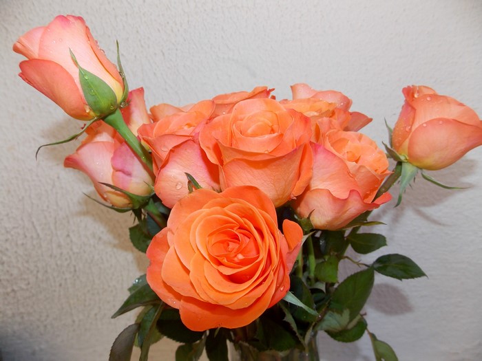 Bouquets of Orange Roses