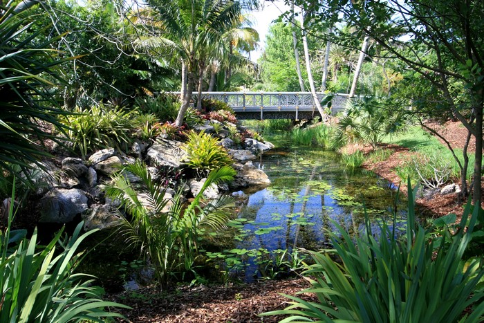 Bridge over a pond in a botanical garden