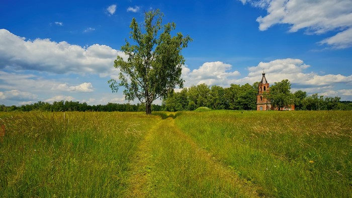 A lone tree and an old church in a grassy field under a blue sky