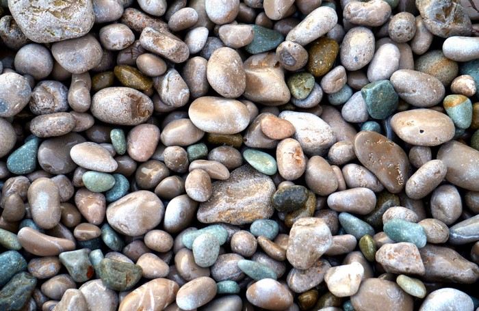 Close-up of wet and dry pebbles and stones