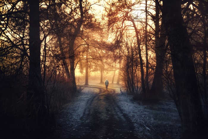 Person walking on a frosty road through a forest at sunrise