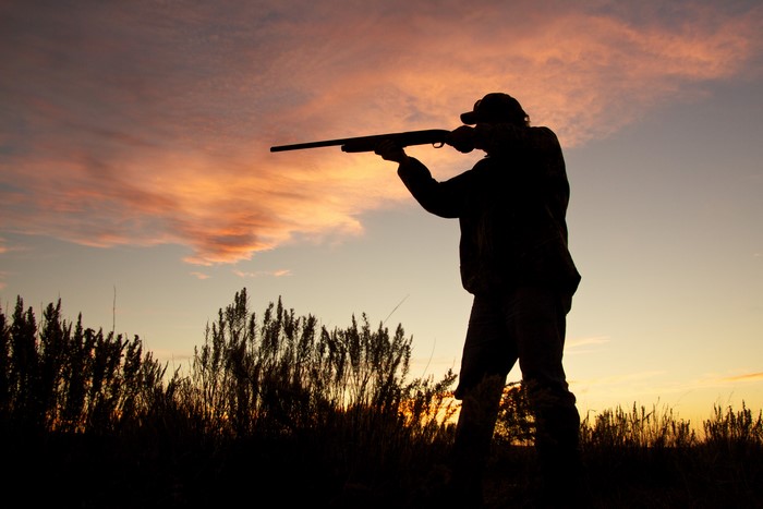 Silhouette of a hunter aiming a shotgun at sunset