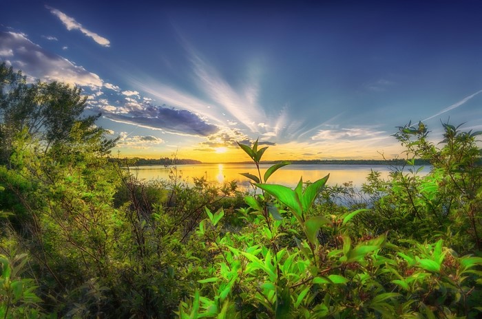 Sunset over a lake with trees in the foreground