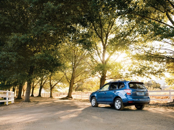 2016 Subaru Forester Metallic Blue Back View