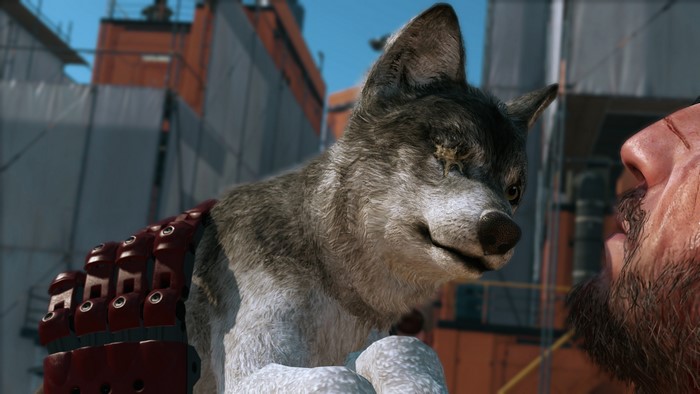D-Dog and Venom Snake from Metal Gear Solid V