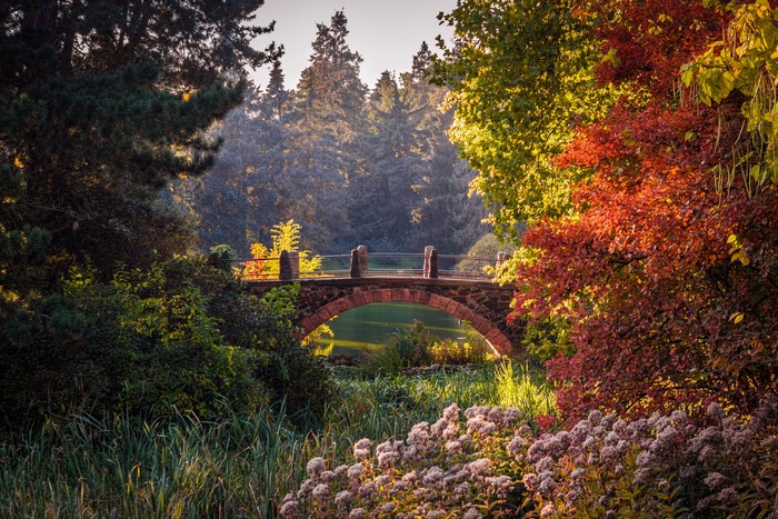 Stone bridge over water in a botanical garden with autumn trees