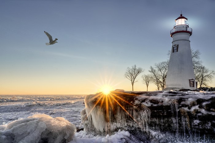 Winter Sunrise at Frozen Coast with Lighthouse and Gull