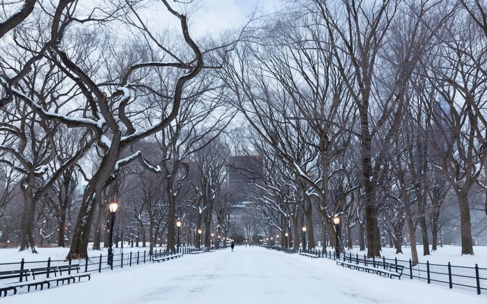 Central Park, New York City in Winter