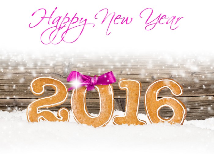 Happy New Year 2016 Gingerbread Cookies